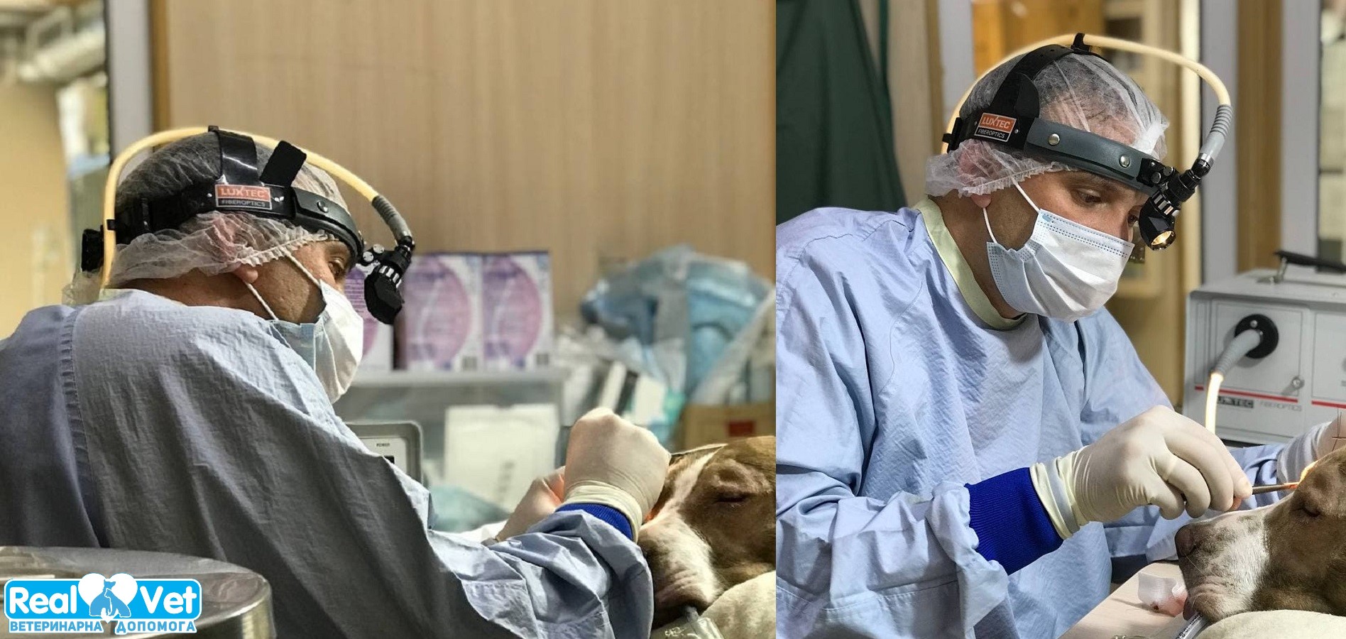 Підшивання м'якого піднебіння - Бровари